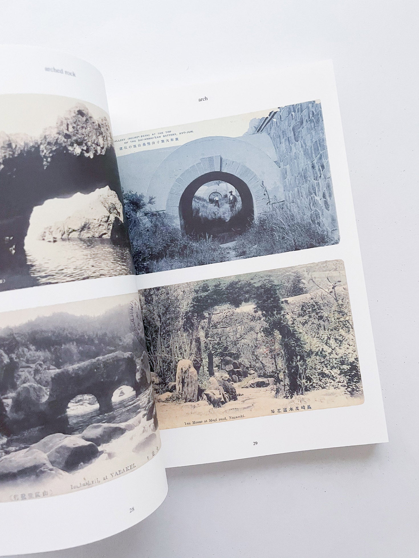 FONTAINEBLEAU IS IN FRANCE / Tacita Dean