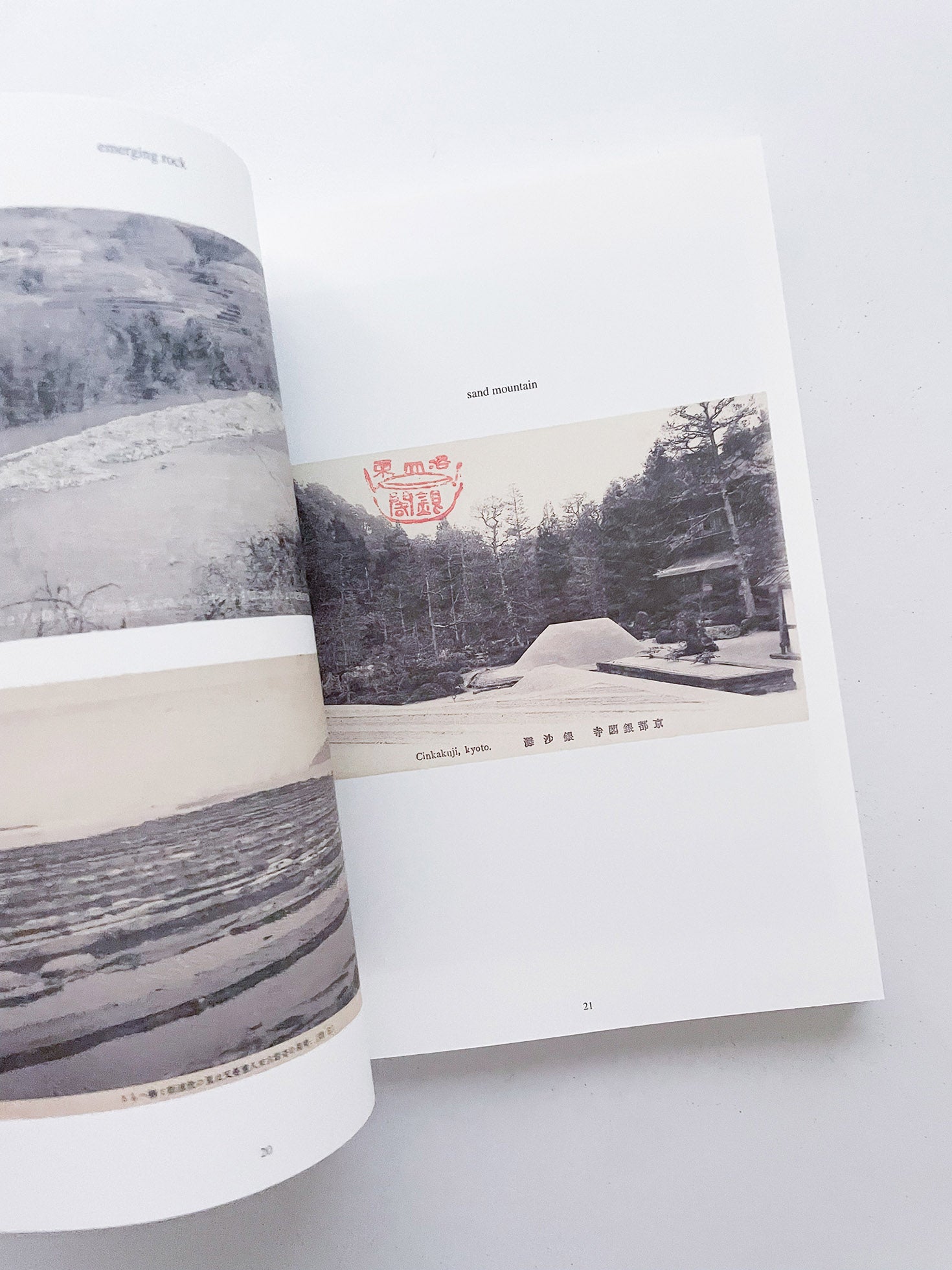 FONTAINEBLEAU IS IN FRANCE / Tacita Dean