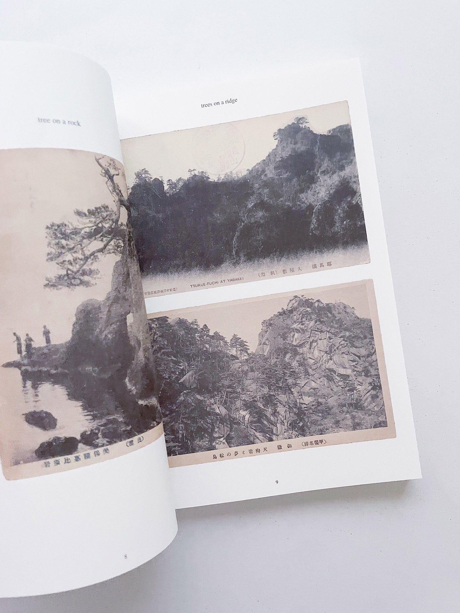 FONTAINEBLEAU IS IN FRANCE / Tacita Dean