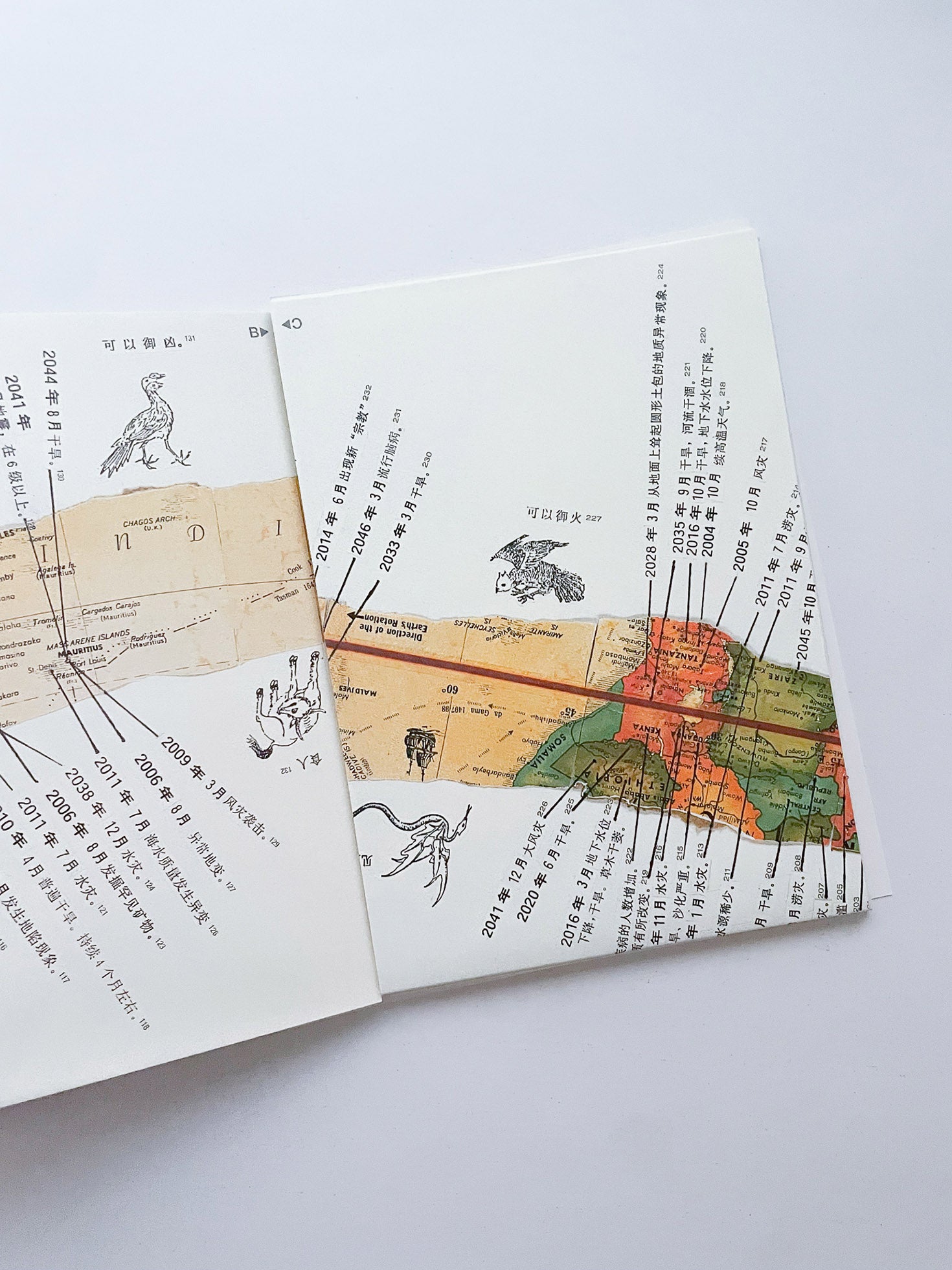 Travel Guide for 2000-2046 / Huang Yong Ping