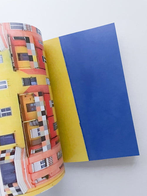 WHY IS COLOUR BETTER THAN GREY / Anri Sala