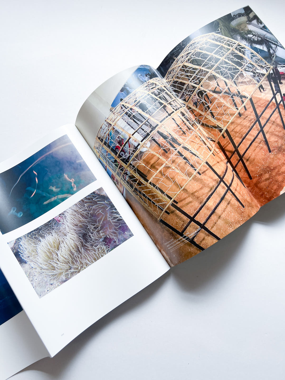 Reclamation / Taloi Havini
