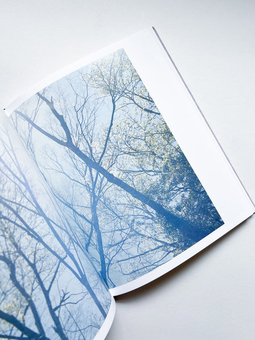 DES OISEAUX - Rinko Kawauchi