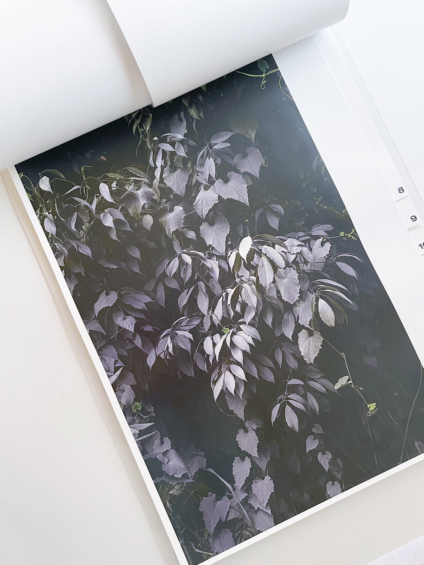 almost nothing / Naoyuki Hata [SIGNED]