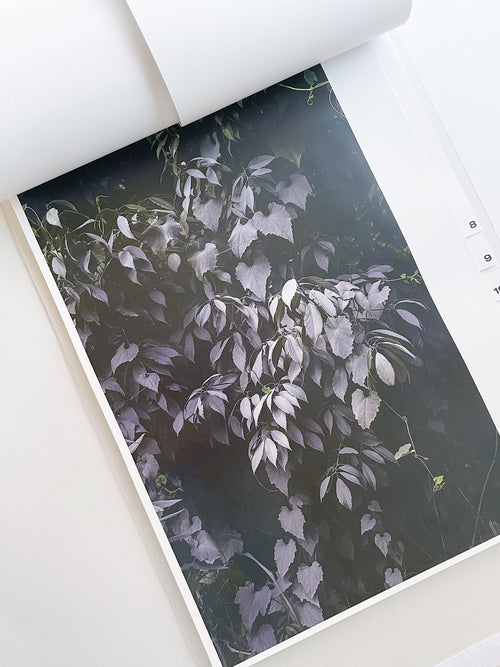 almost nothing / Naoyuki Hata [SIGNED]