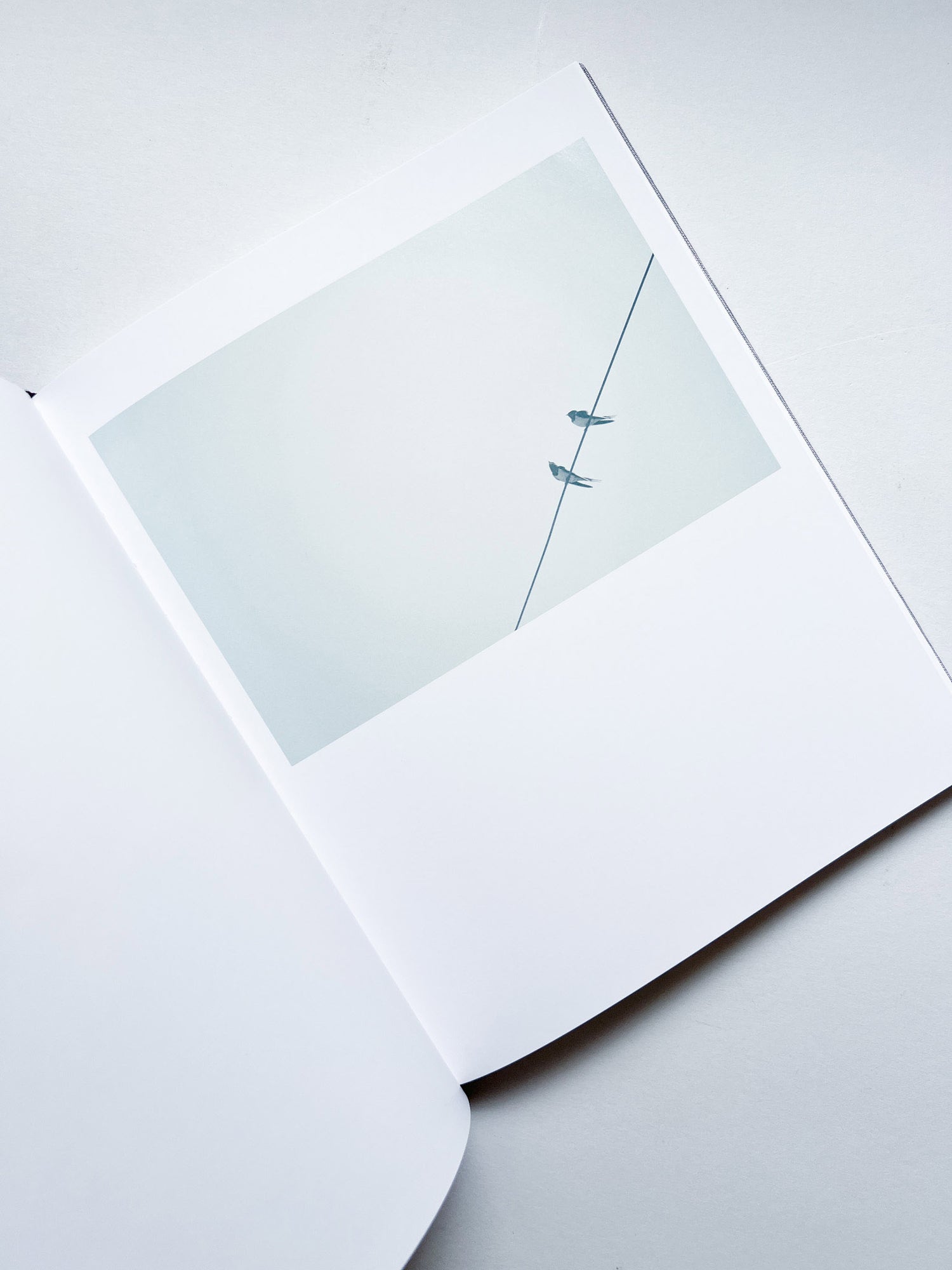 DES OISEAUX - Rinko Kawauchi