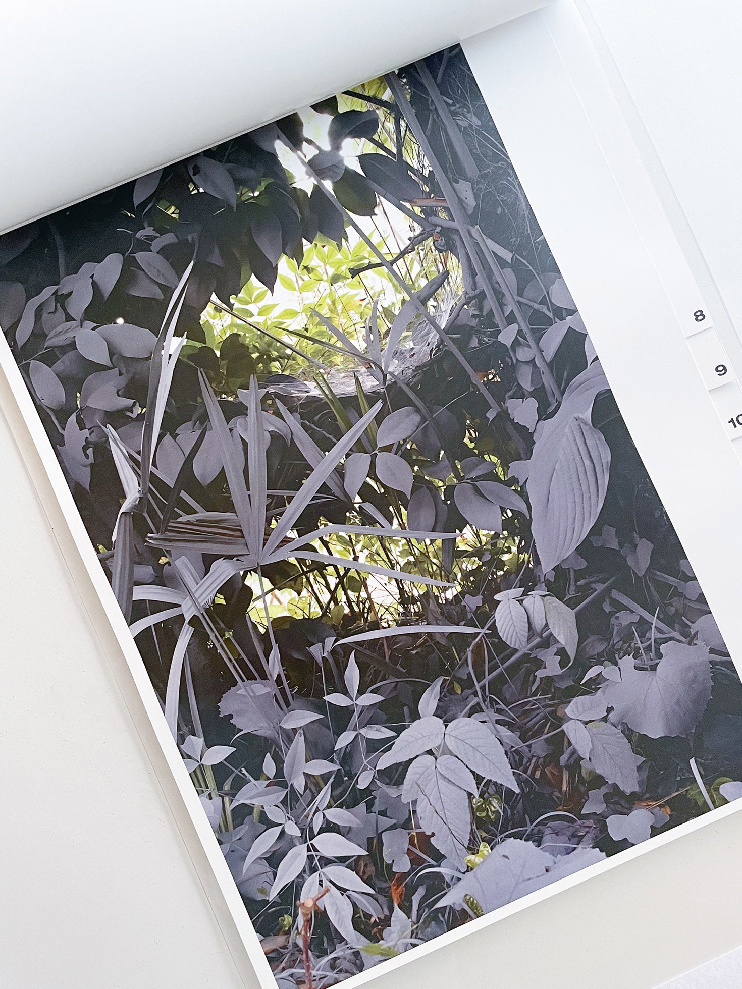 almost nothing / Naoyuki Hata [SIGNED]