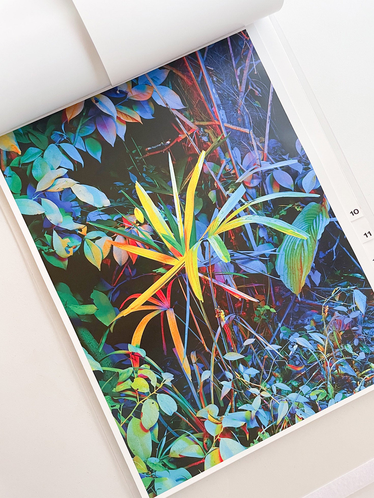 almost nothing / Naoyuki Hata [SIGNED]