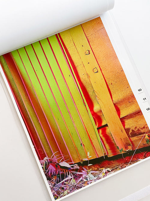 almost nothing / Naoyuki Hata [SIGNED]