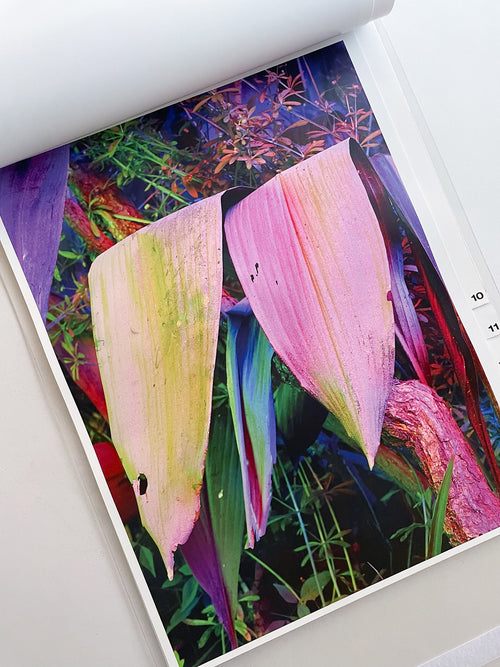 almost nothing / Naoyuki Hata [SIGNED]