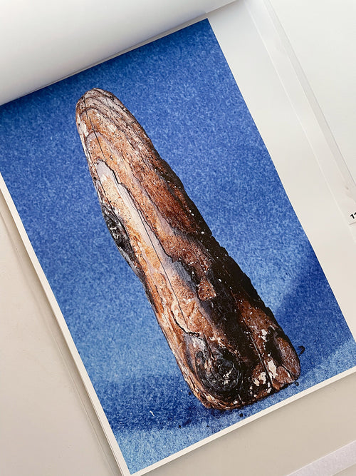 almost nothing / Naoyuki Hata [SIGNED]