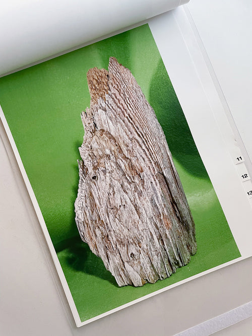 almost nothing / Naoyuki Hata [SIGNED]