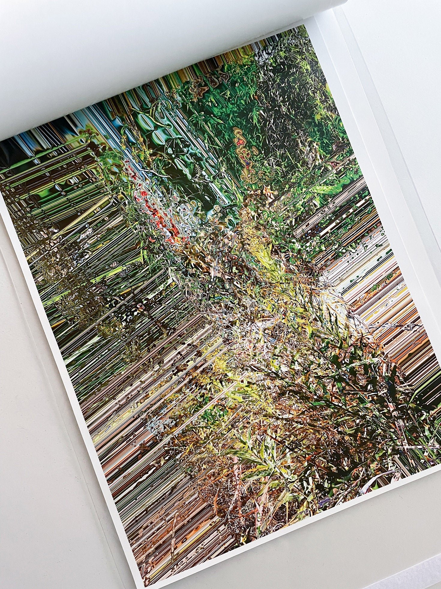 almost nothing / Naoyuki Hata [SIGNED]