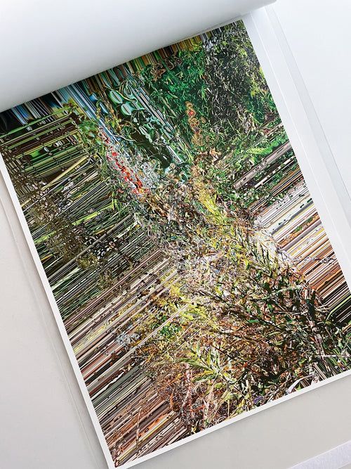 almost nothing / Naoyuki Hata [SIGNED]