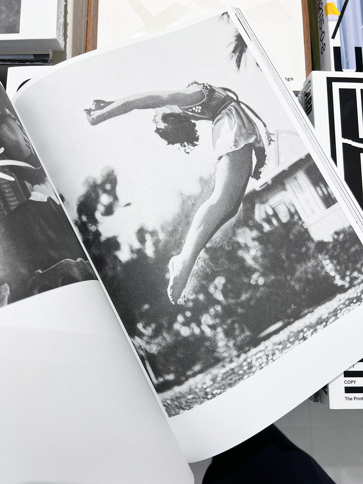 PRESS PAINTINGS  / Sebastian Riemer