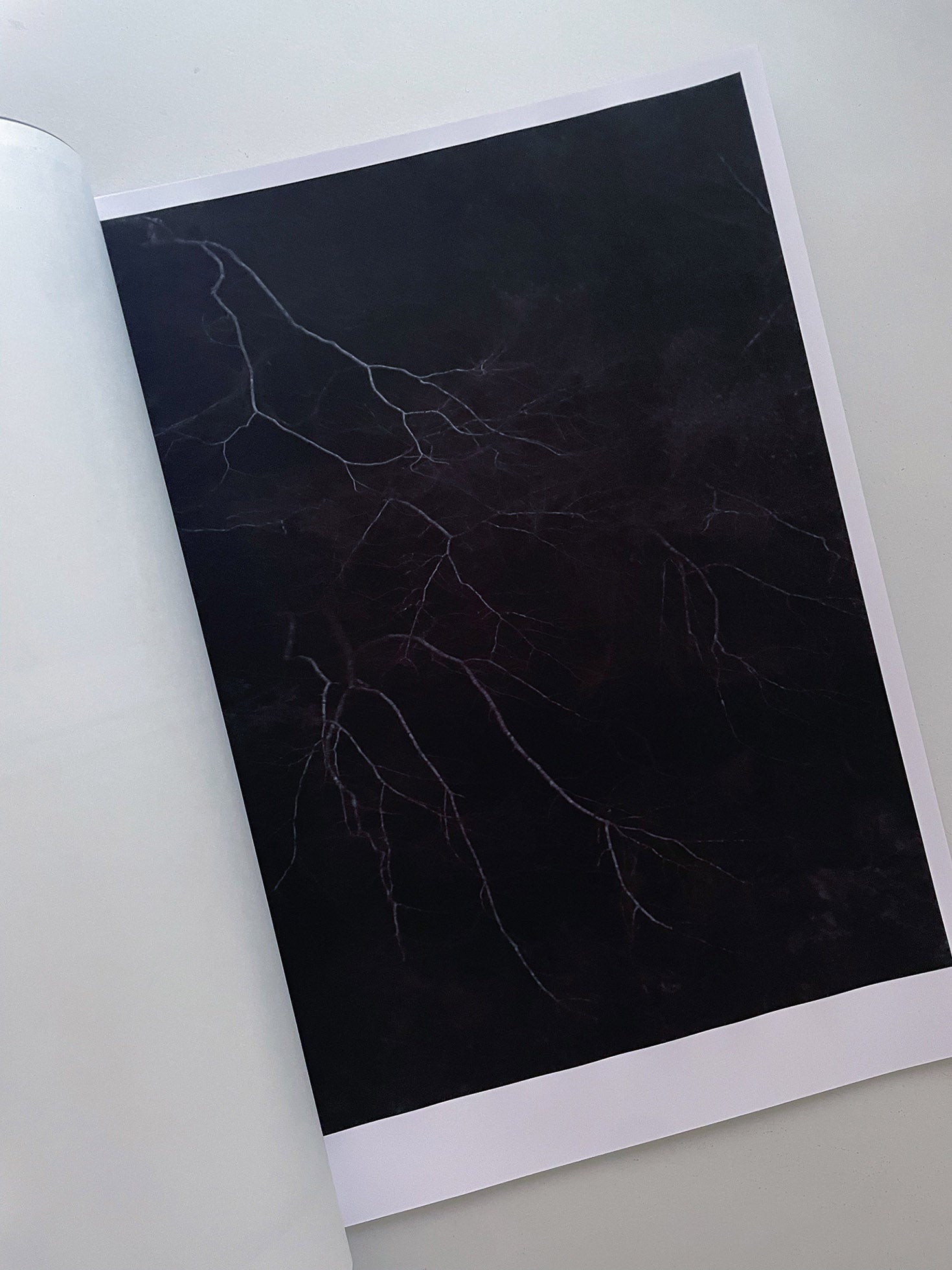 STILLNESS (Fourth Edition) / Naoyuki Hata [SIGNED]