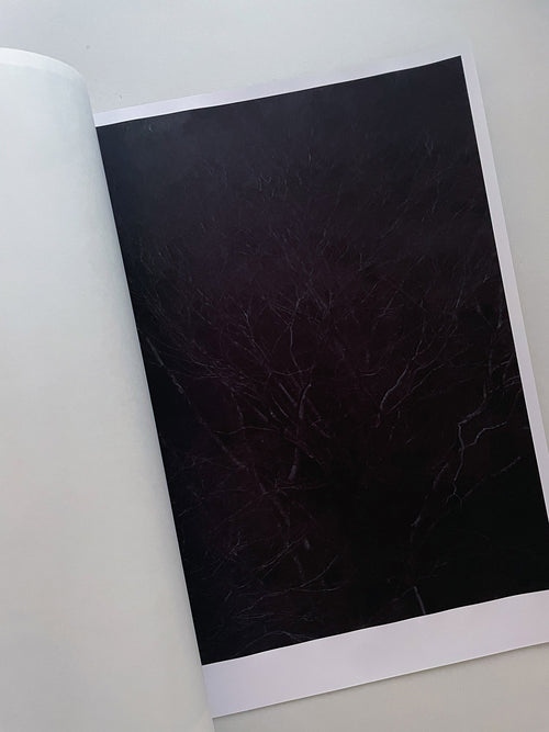 STILLNESS (Fourth Edition) / Naoyuki Hata [SIGNED]