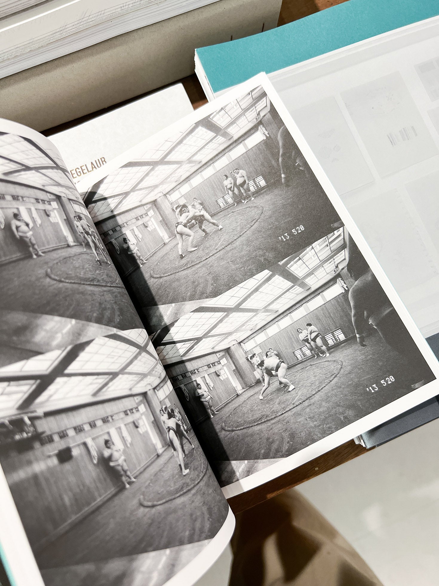 Sumo Judo / Ari Marcopoulos