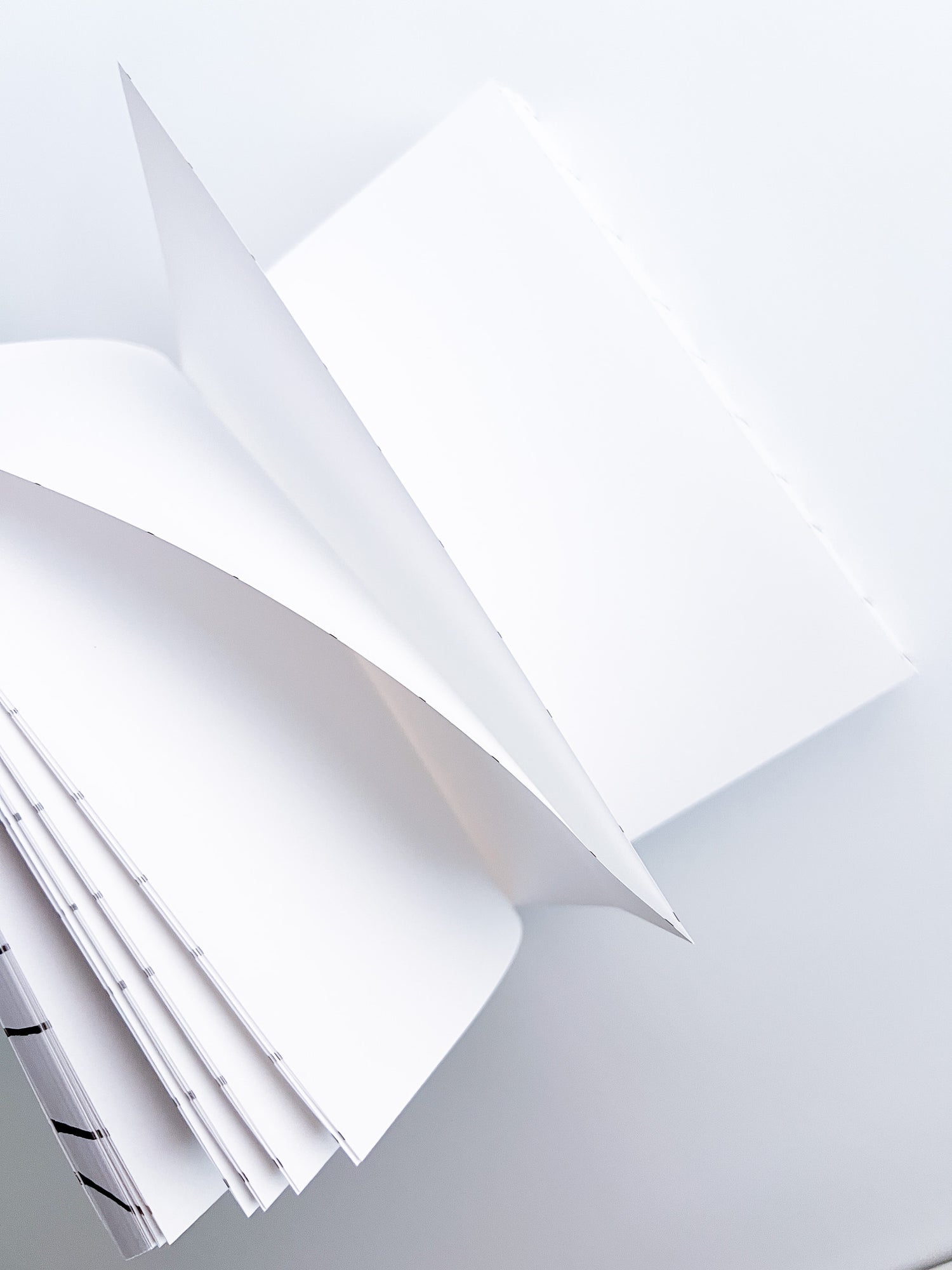 ideanote / tsukasa kudo x SHABA