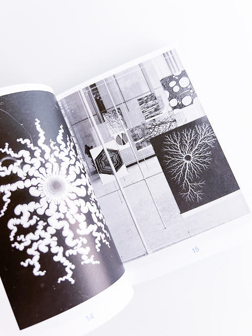 Pedagogies of Machine Learning Schools of Departure Nr. 4 / Stiftung Bauhaus Dessau