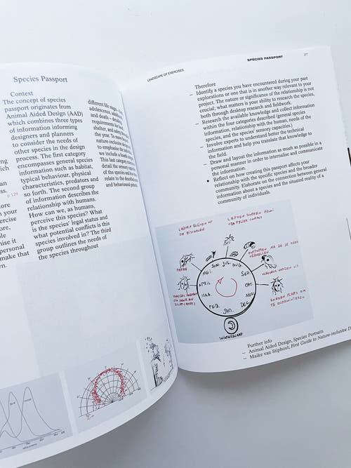 DECENTERING DESIGN — PRACTICE IN A MORE-THAN- HUMAN WORLD