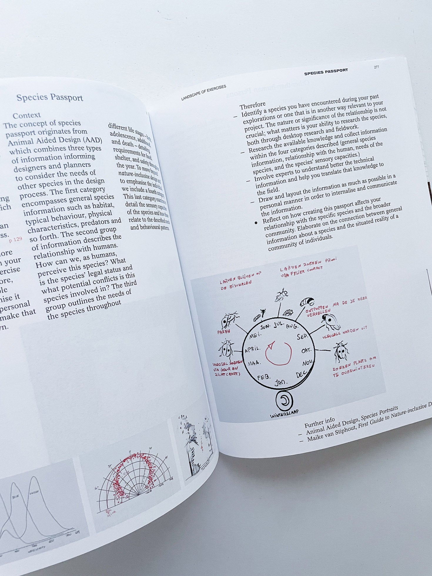 DECENTERING DESIGN — PRACTICE IN A MORE-THAN- HUMAN WORLD