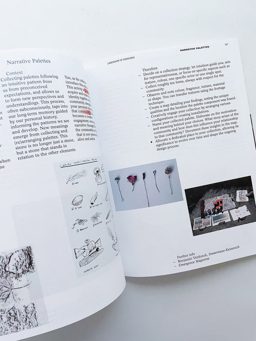 DECENTERING DESIGN — PRACTICE IN A MORE-THAN- HUMAN WORLD