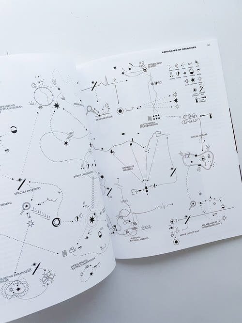 DECENTERING DESIGN — PRACTICE IN A MORE-THAN- HUMAN WORLD