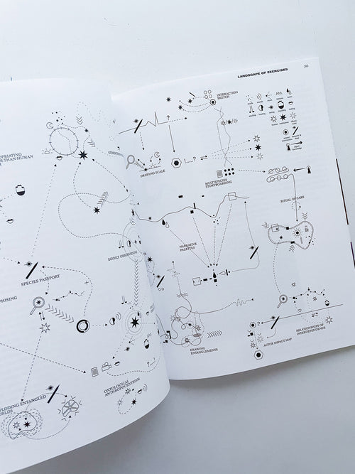 DECENTERING DESIGN — PRACTICE IN A MORE-THAN- HUMAN WORLD