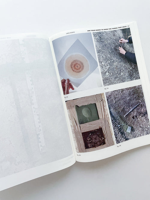 DECENTERING DESIGN — PRACTICE IN A MORE-THAN- HUMAN WORLD