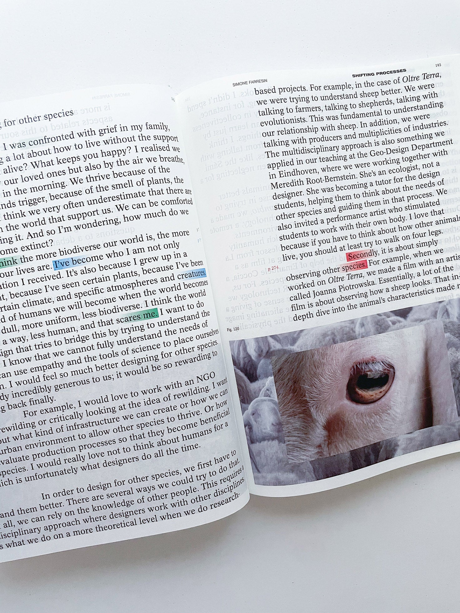 DECENTERING DESIGN — PRACTICE IN A MORE-THAN- HUMAN WORLD