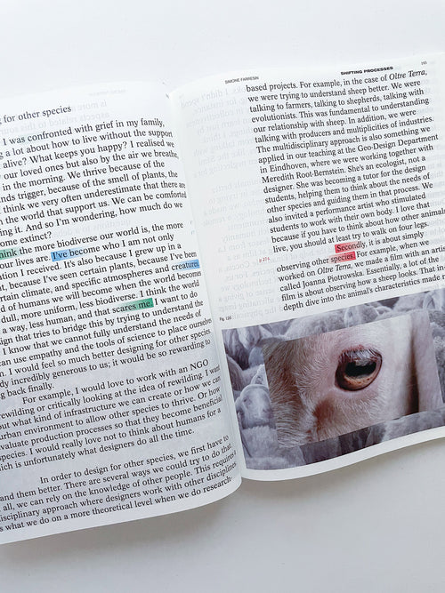 DECENTERING DESIGN — PRACTICE IN A MORE-THAN- HUMAN WORLD