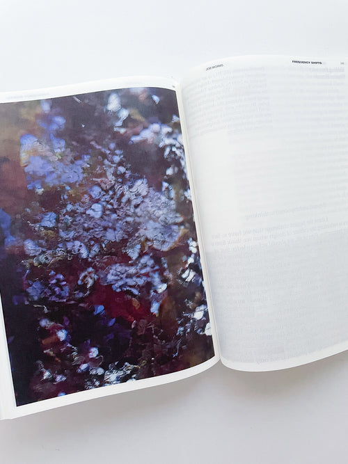 DECENTERING DESIGN — PRACTICE IN A MORE-THAN- HUMAN WORLD