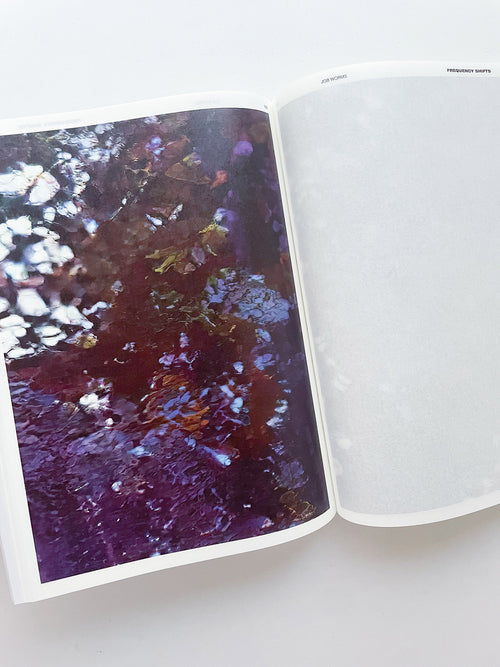 DECENTERING DESIGN — PRACTICE IN A MORE-THAN- HUMAN WORLD