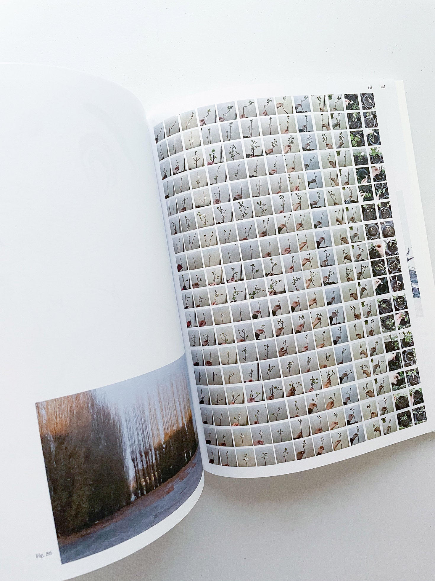 DECENTERING DESIGN — PRACTICE IN A MORE-THAN- HUMAN WORLD