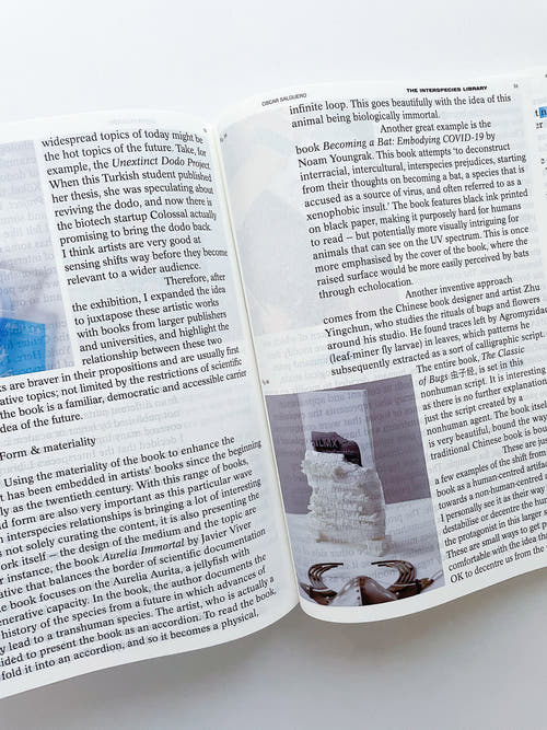 DECENTERING DESIGN — PRACTICE IN A MORE-THAN- HUMAN WORLD