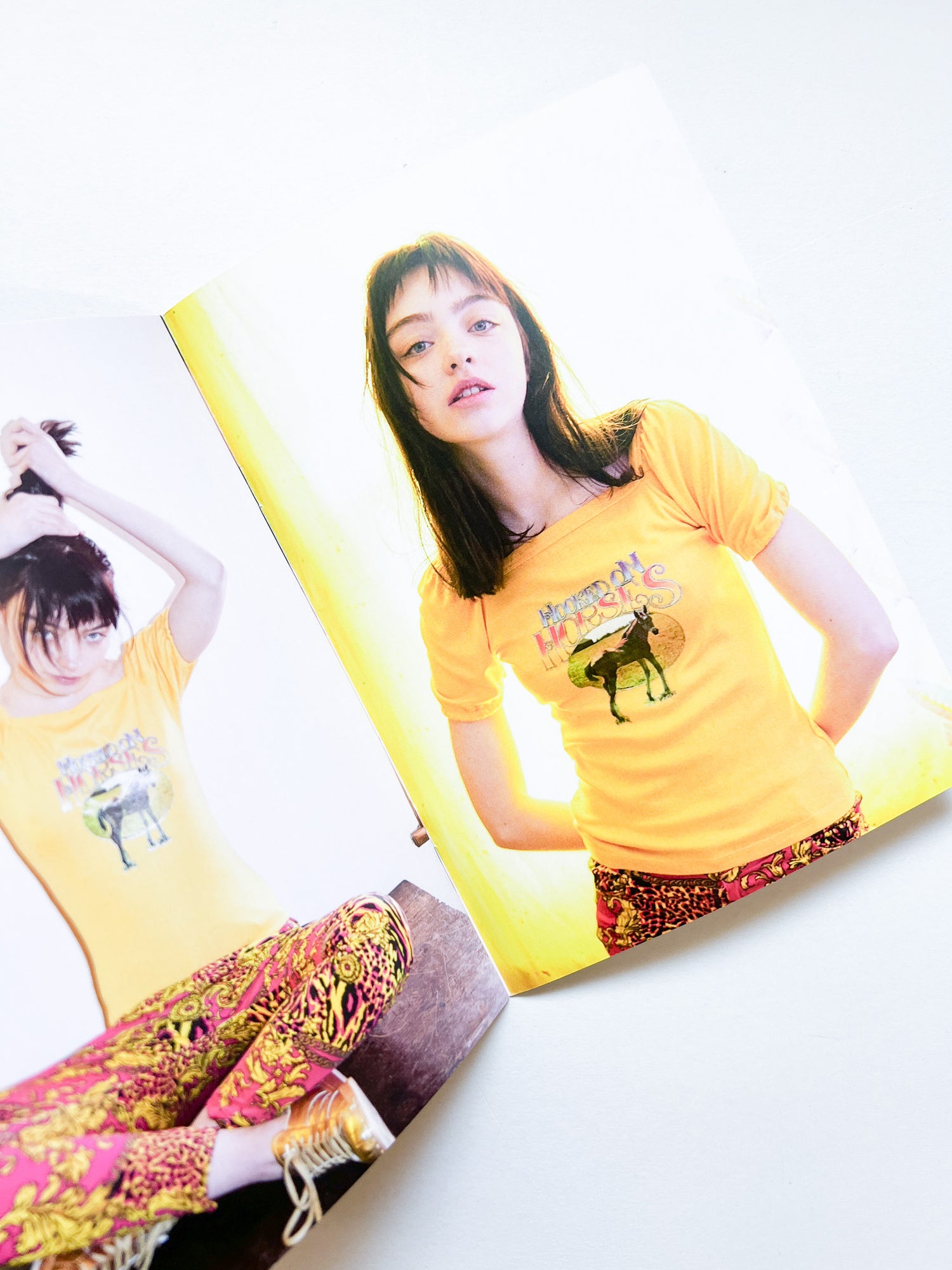 HOOKED ON HORSES / Valerie Phillips [SIGNED / NUMBERED]