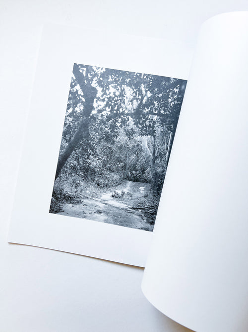 火曜日 / 富澤大輔