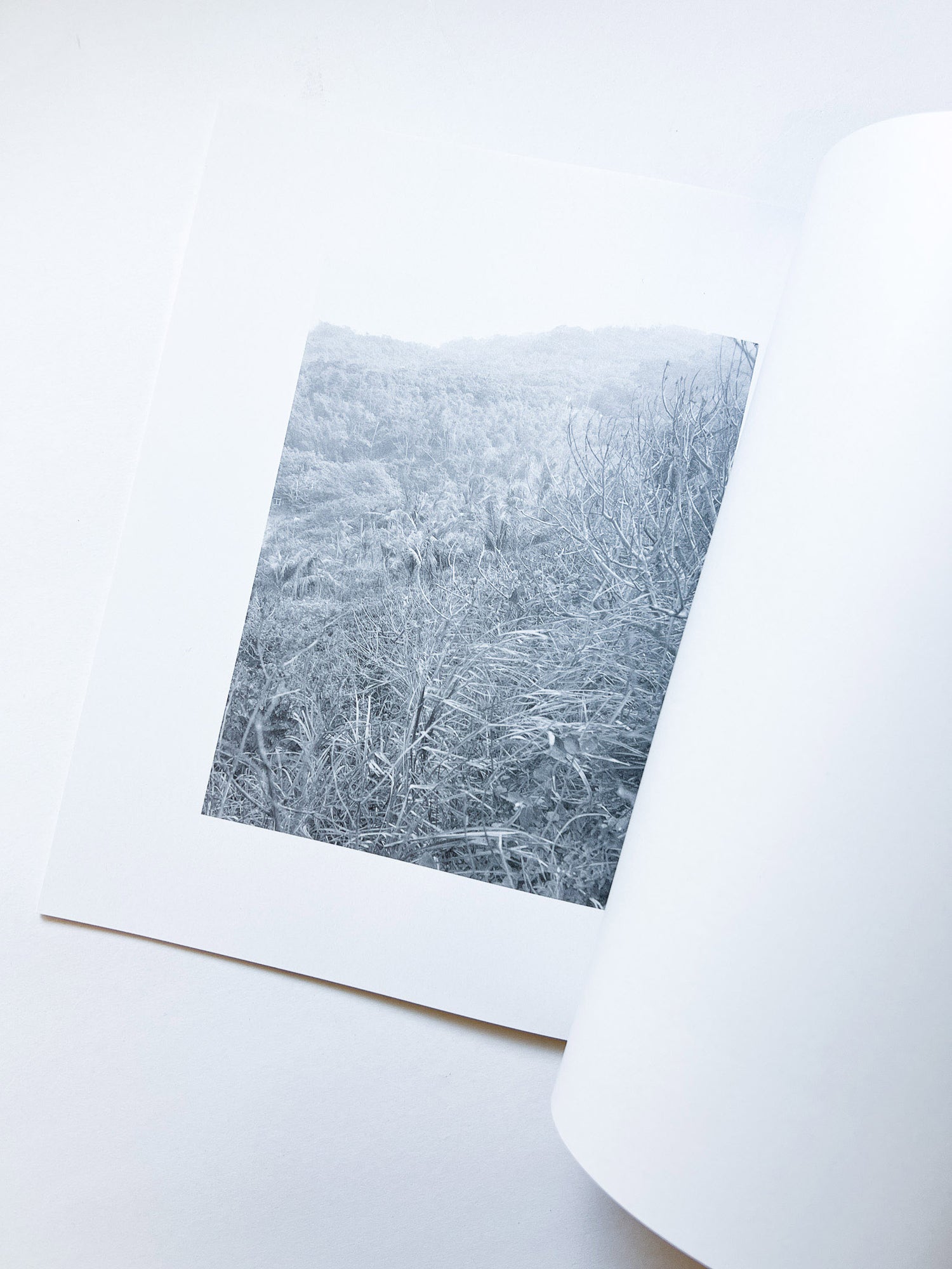 火曜日 / 富澤大輔