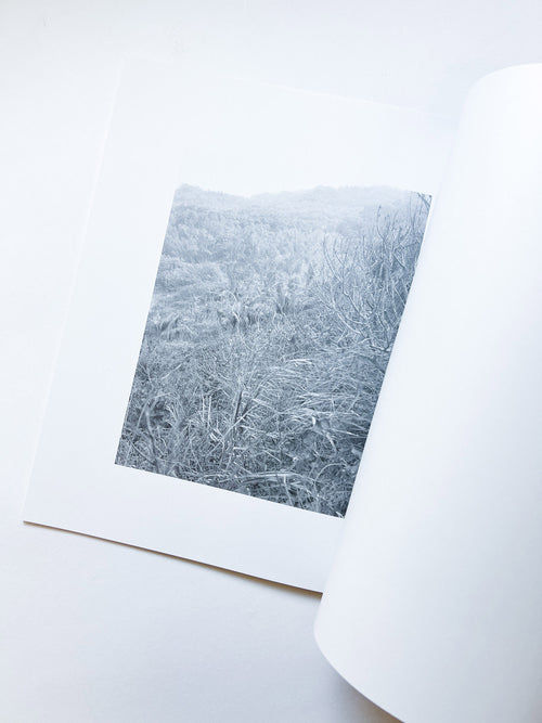 火曜日 / 富澤大輔