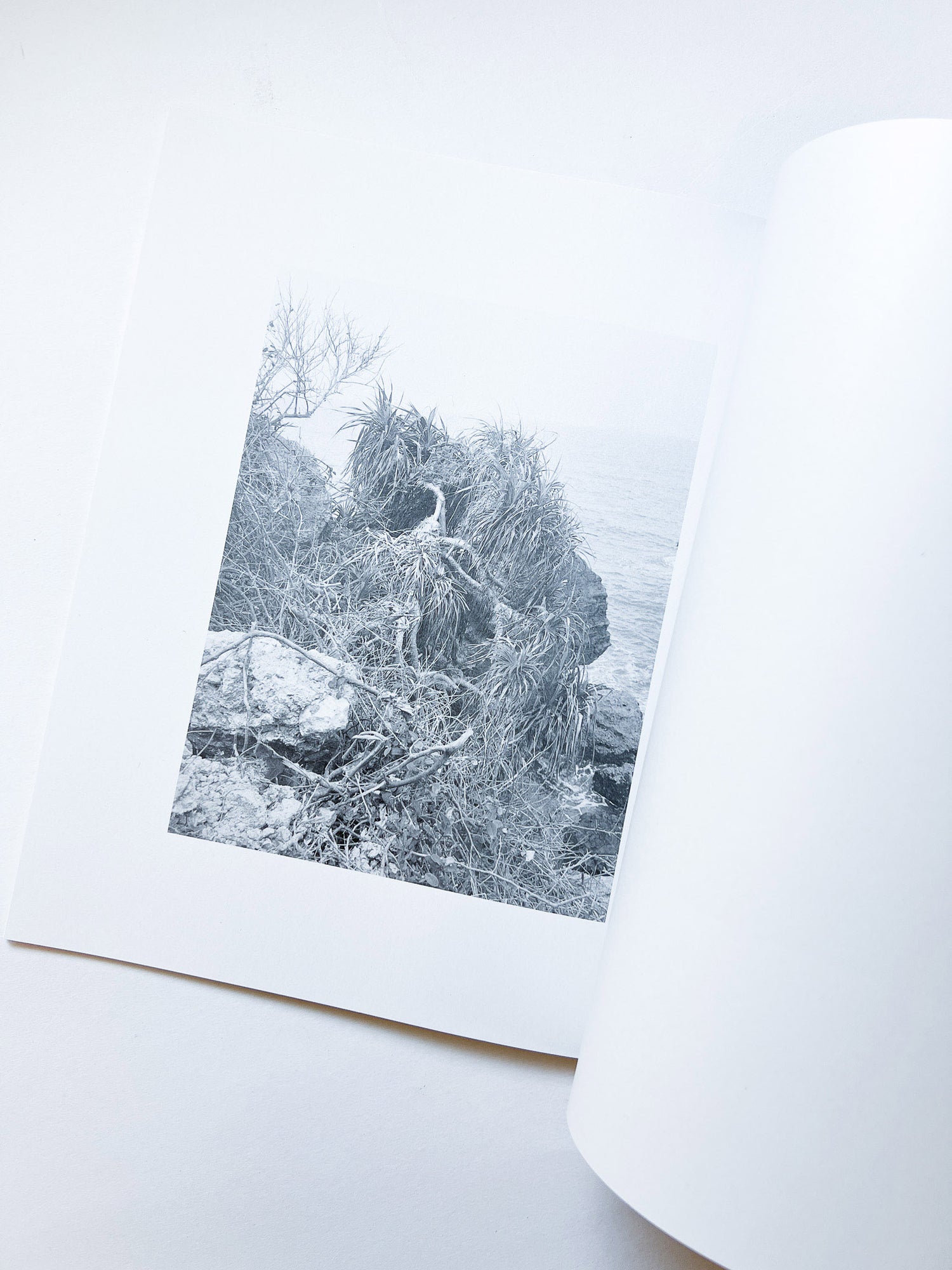 火曜日 / 富澤大輔