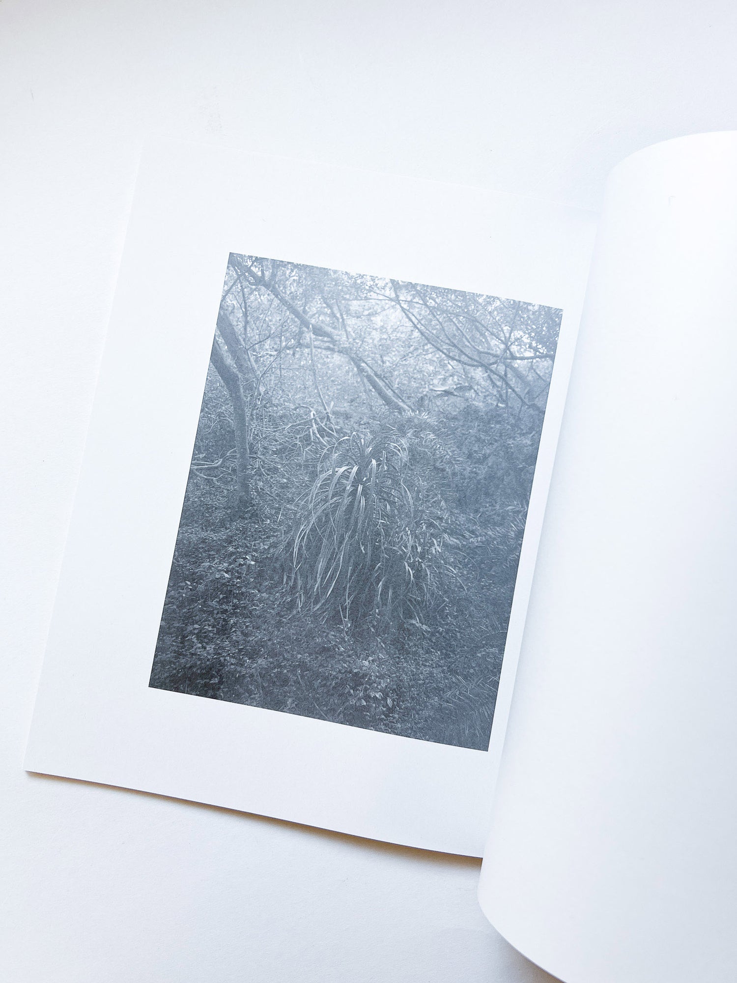 火曜日 / 富澤大輔