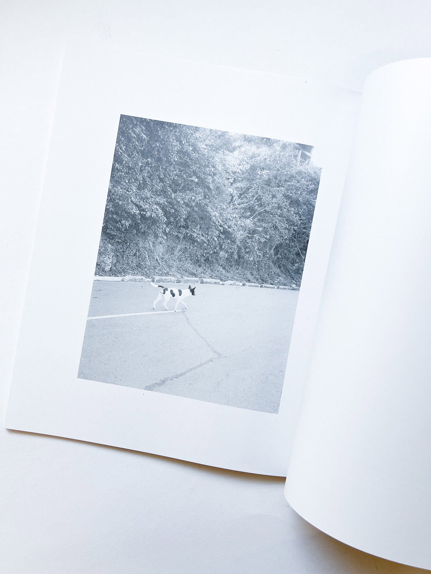 火曜日 / 富澤大輔