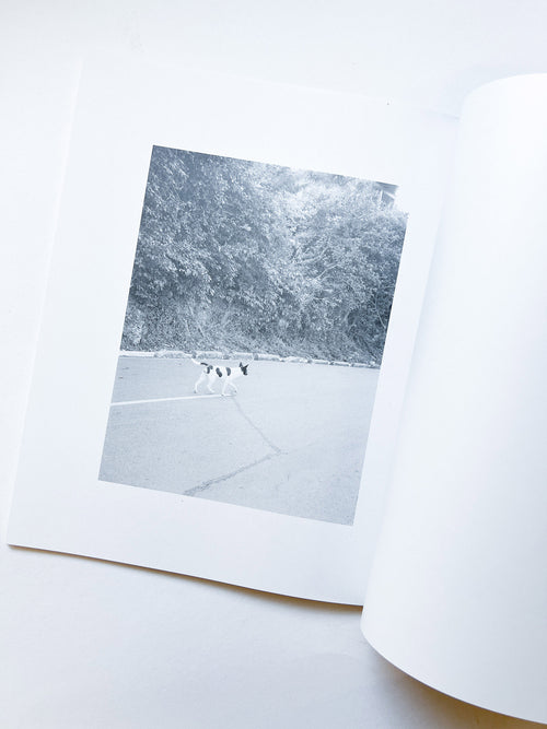 火曜日 / 富澤大輔