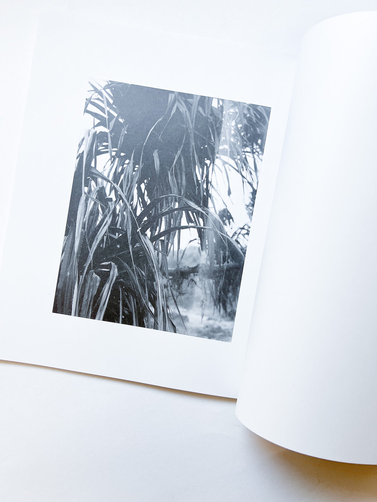 火曜日 / 富澤大輔