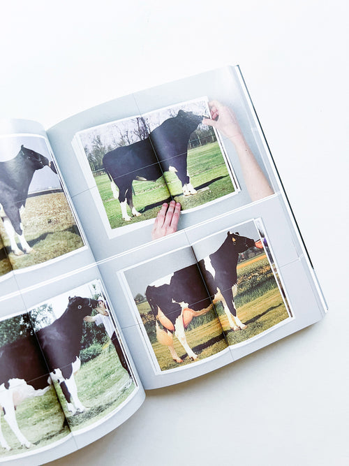 As Far As You Can See / Erik Kessels
