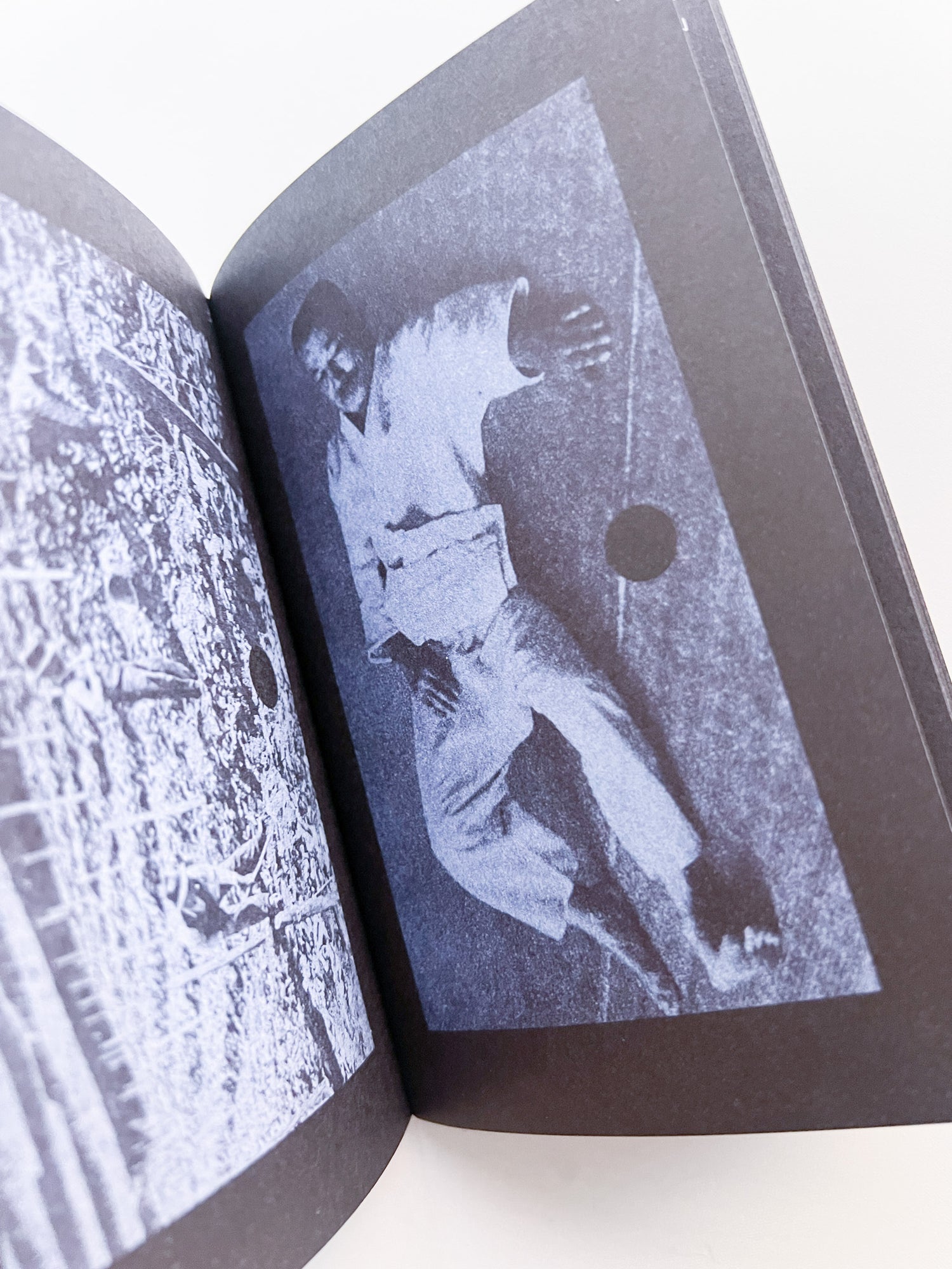 Search Engine / Louis Porter