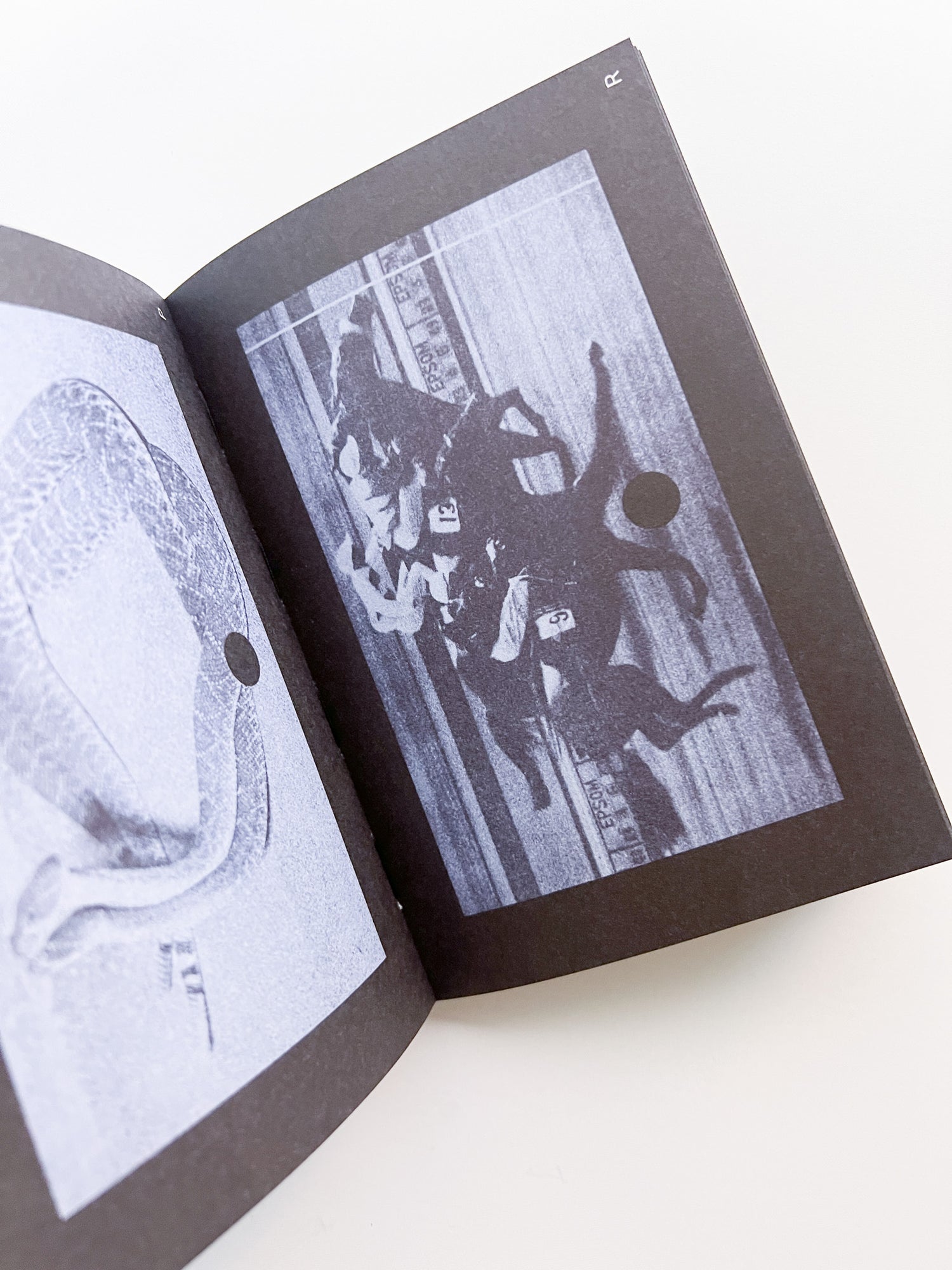 Search Engine / Louis Porter