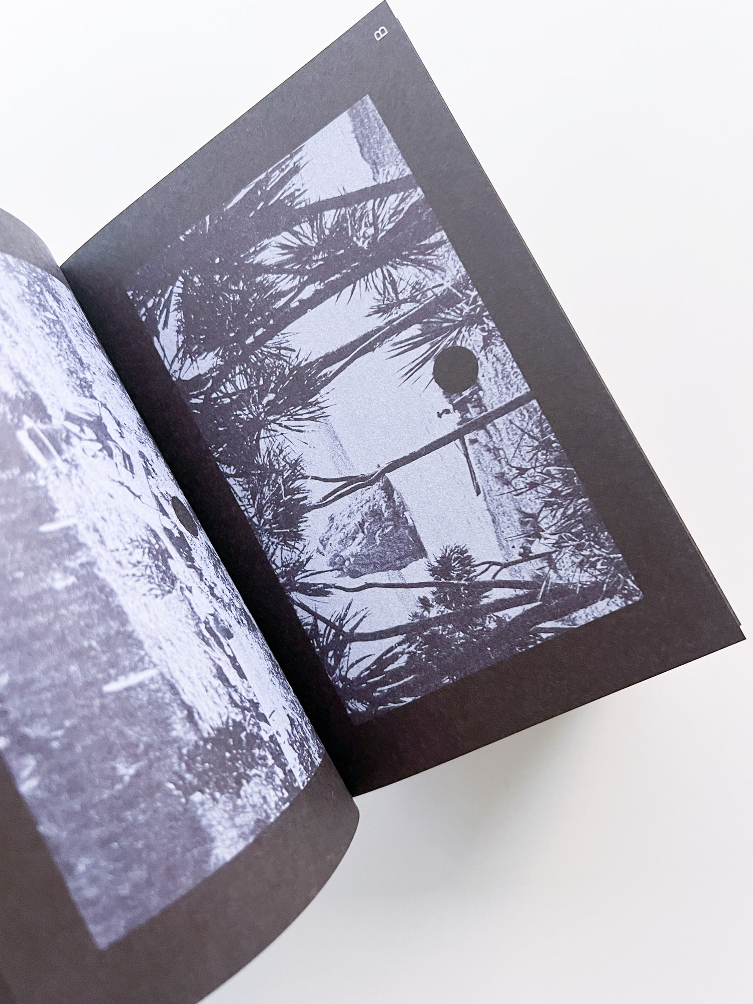 Search Engine / Louis Porter