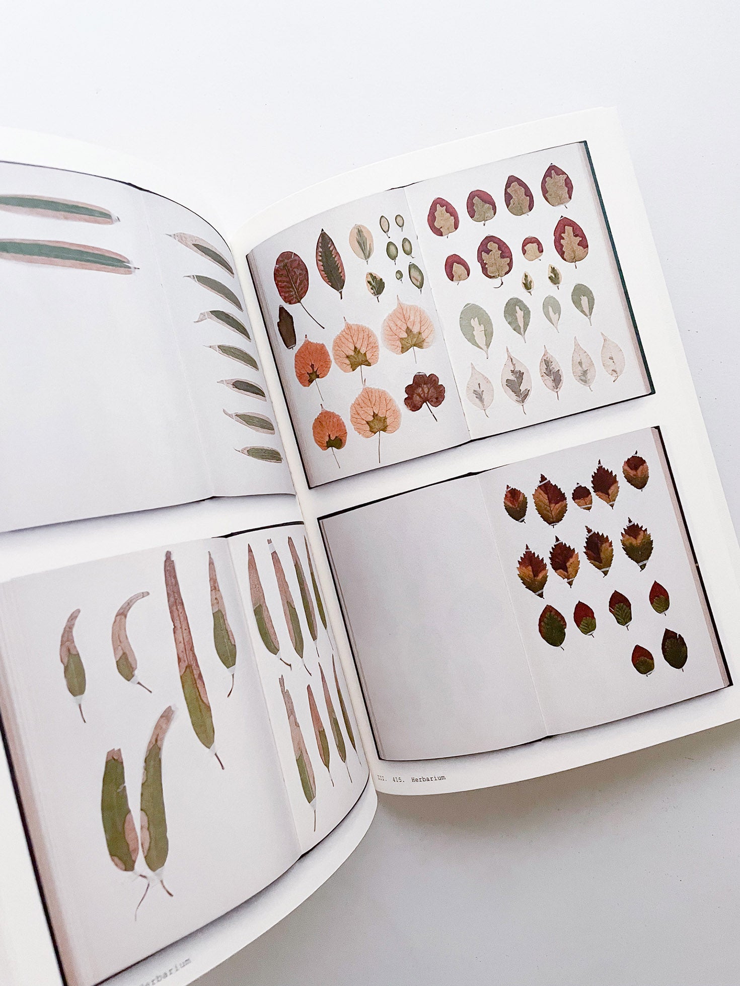 Book of Plants (Second Edition) / Anne Geene